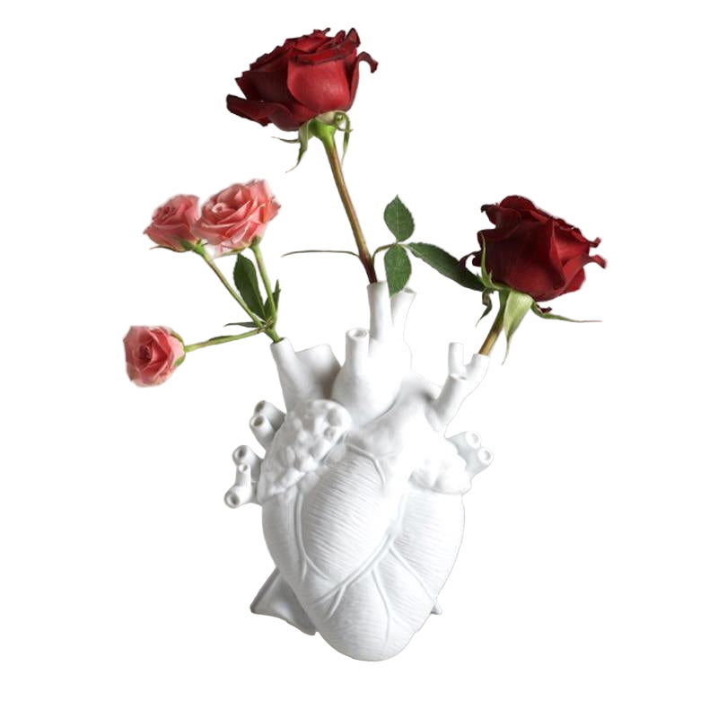 Anatomisk Hjerteformet Vase til Indretning Dekorativ Udsmykning 0