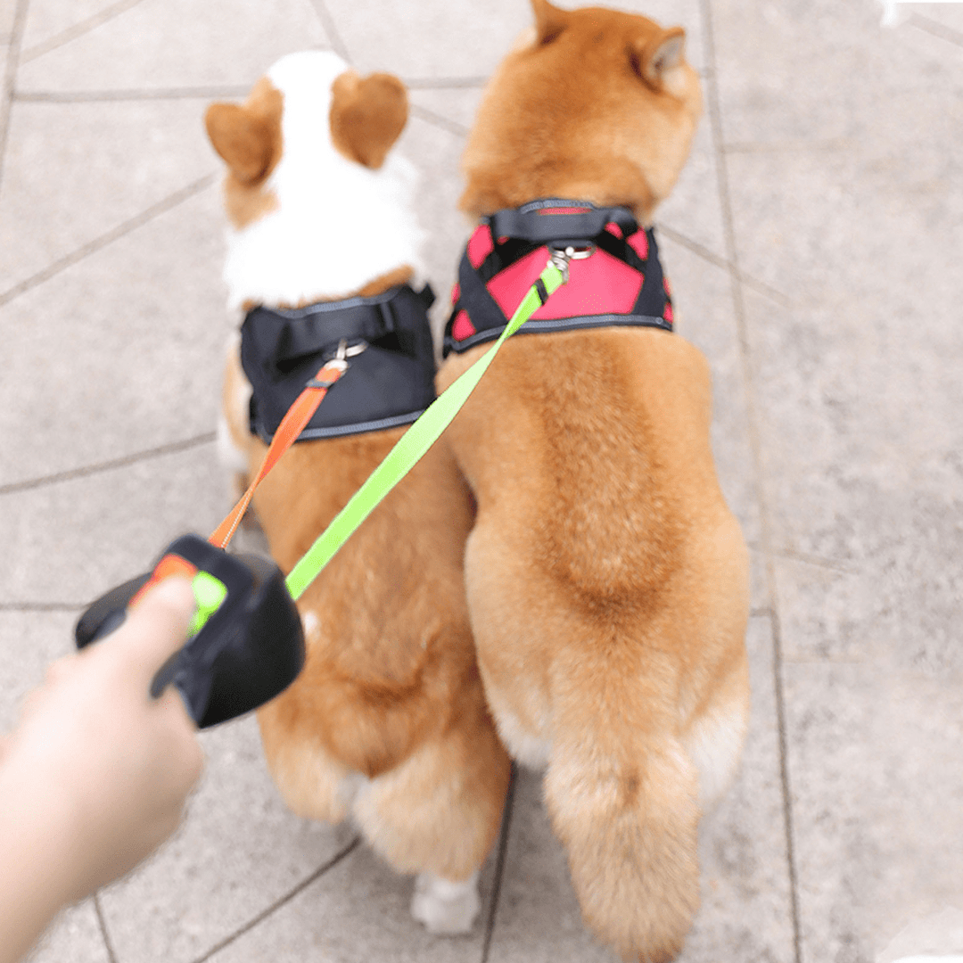 Dobbelt Hundesnor med Lommelygte 2