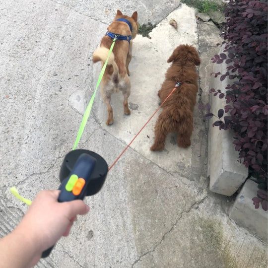 Dobbelt Hundesnor med Lommelygte og Affaldsposer Holder 5