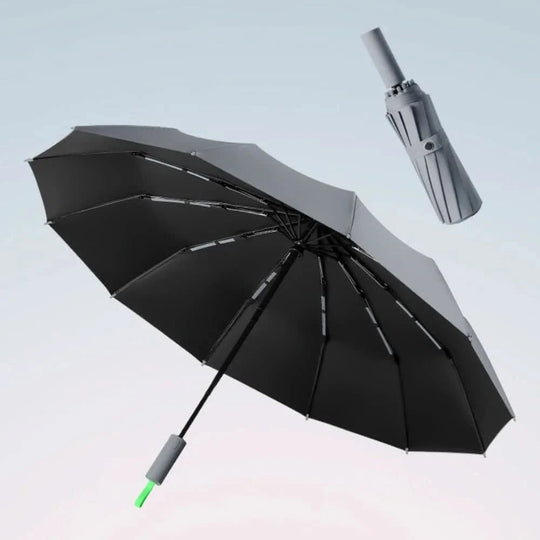 Folding Umbrella for All Weather Conditions 1