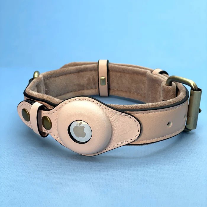 Hundehalsbånd Med AirTag Holder - Robust Og Vandtæt Design 4