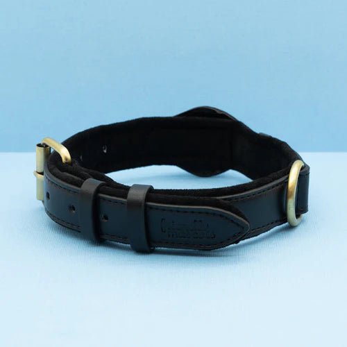 Hundehalsbånd Med AirTag Holder - Robust Og Vandtæt Design 6