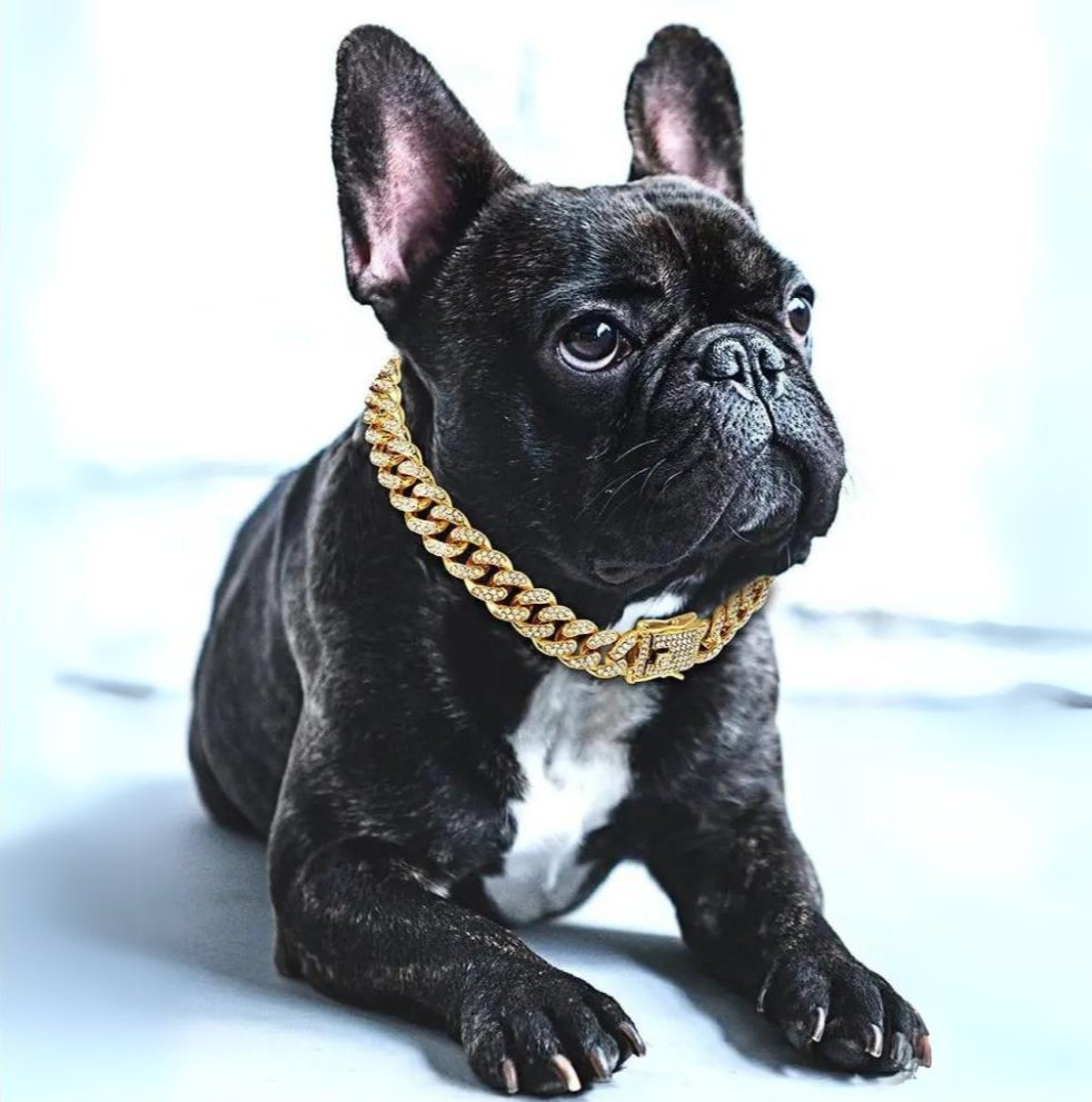 Hundehalsbånd Med Zirconia-Diamanter Til Hunde, Justerbart Design, Stilet Tilbehør 0