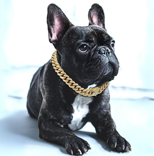 Hundehalsbånd Med Zirconia-Diamanter Til Hunde, Justerbart Design, Stilet Tilbehør 0