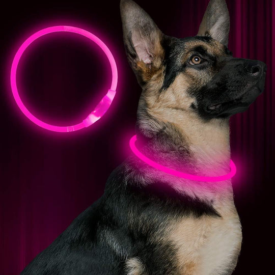 Hundehalsbånd med LED Lys til Sikkerhed 0