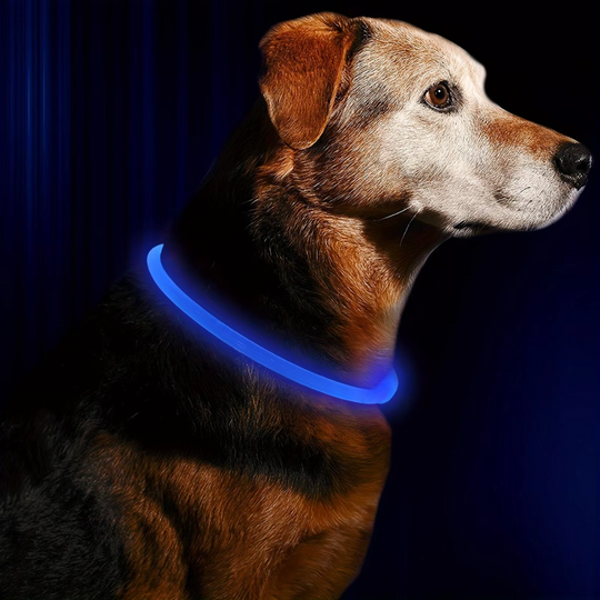 Hundehalsbånd med LED Lys til Sikkerhed 10