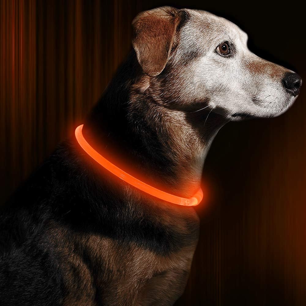 Hundehalsbånd med LED Lys til Sikkerhed 3