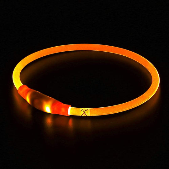 Hundehalsbånd med LED Lys til Sikkerhed 4