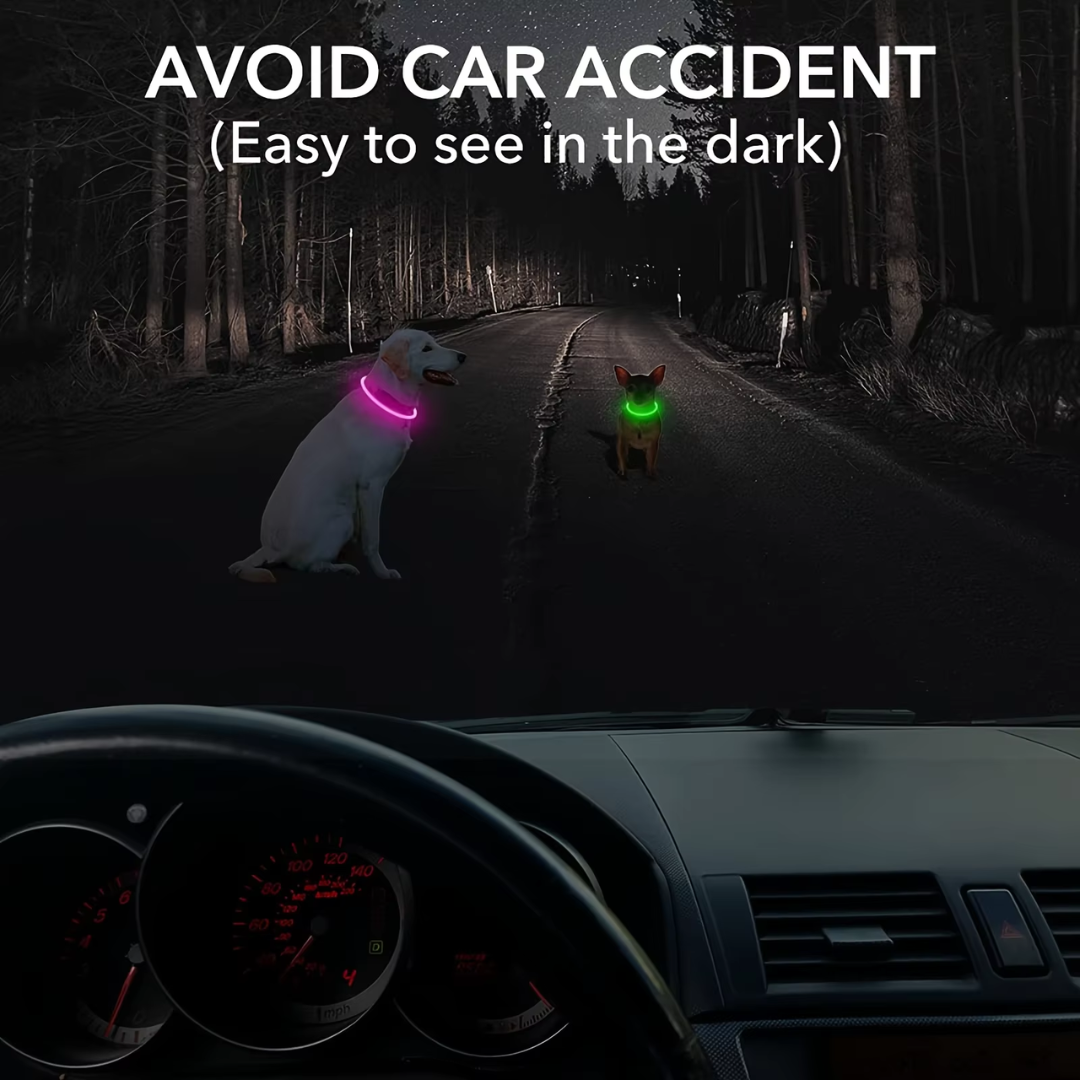 Hundehalsbånd med LED Lys til Sikkerhed 5