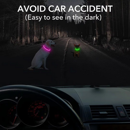Hundehalsbånd med LED Lys til Sikkerhed 5