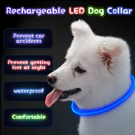 Hundehalsbånd med LED Lys til Sikkerhed 6