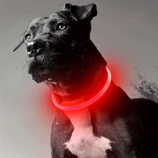 Hundehalsbånd med LED Lys til Sikkerhed 7