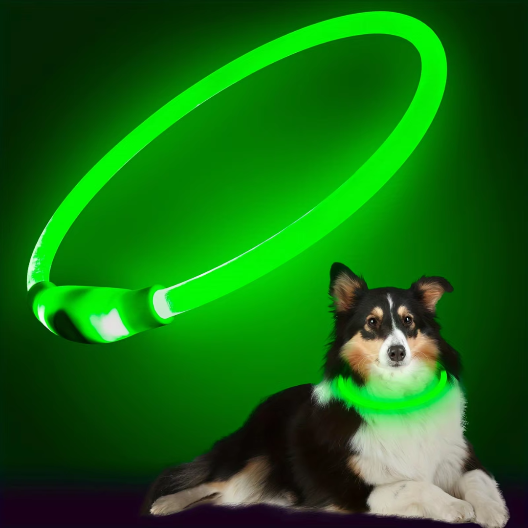 Hundehalsbånd med LED Lys til Sikkerhed 9