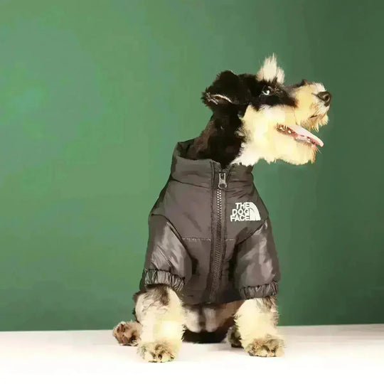 Hundejakke Vinter Pufdesign Med Lynlås 1