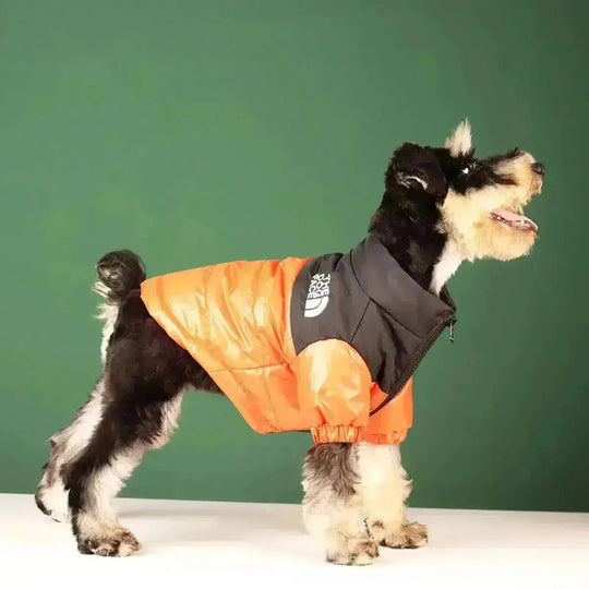 Hundejakke Vinter Pufdesign Med Lynlås 7