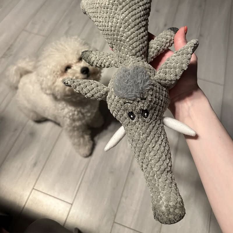 Hundelegetøj Uopslideligt til Små og Store Hunde - Interaktiv Leg og Tandpleje 4