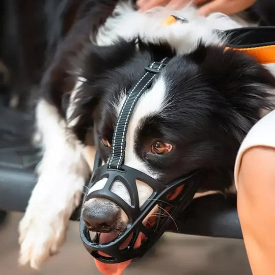 Hundemundkurv til Kontrol og Komfort 2