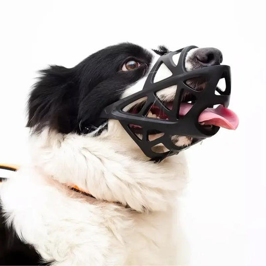 Hundemundkurv til Kontrol og Komfort 3