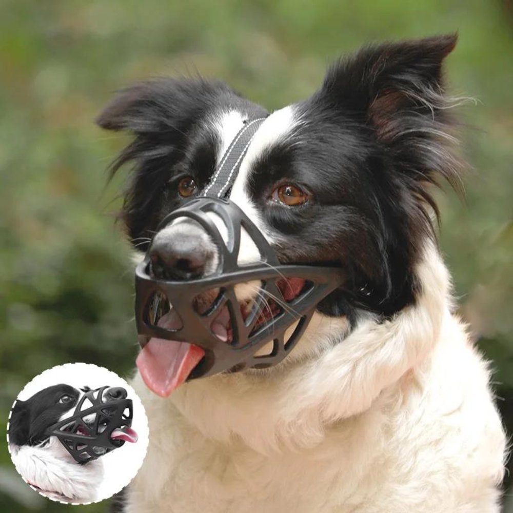 Hundemundkurv til Kontrol og Komfort 4