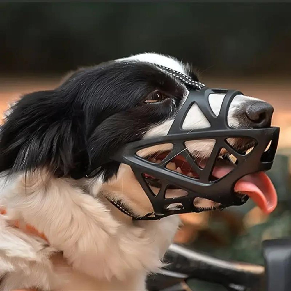 Hundemundkurv til Kontrol og Komfort 7