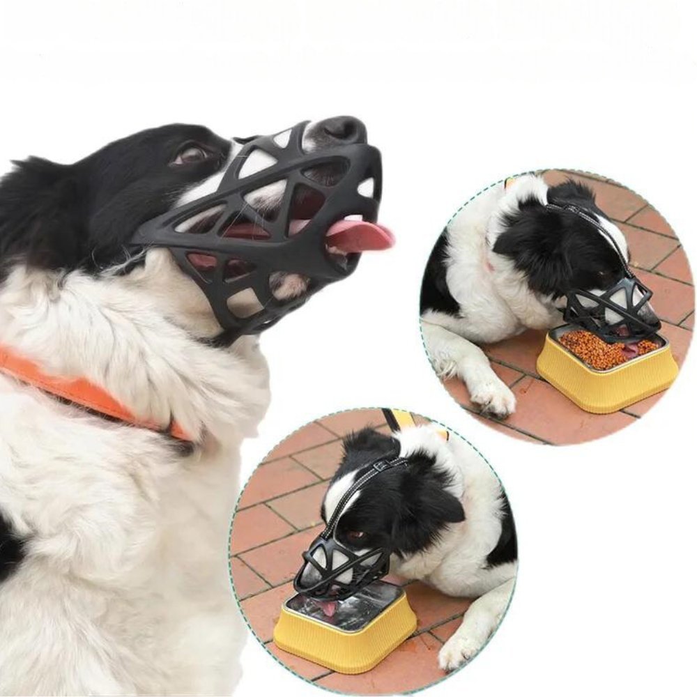 Hundemundkurv til Kontrol og Komfort 8