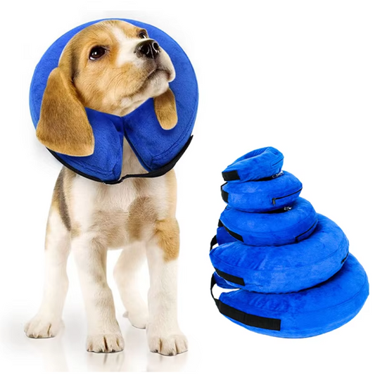 Hundens Oppustelige Genopretningskrave Justerbar Donut-formet 0