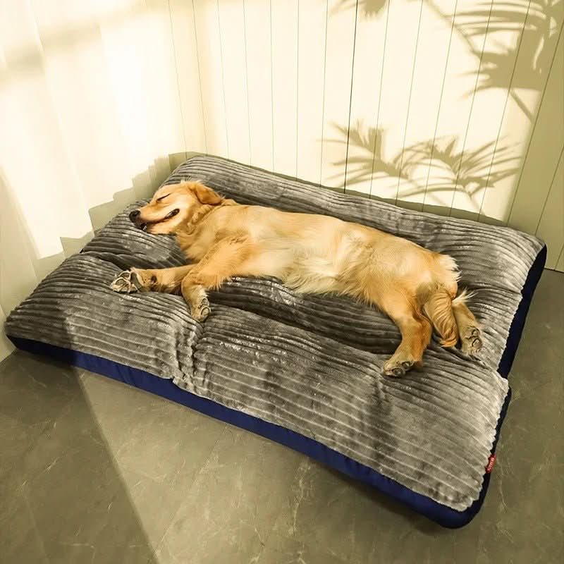 Hundeseng Ortopædisk Design til Komfort 0