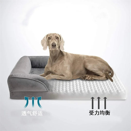 Hundesofa Komfortabel Design Indendørs 1