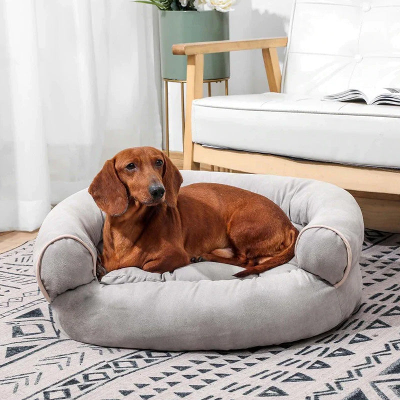 Hundesofa med blød polstring og ortopædisk design 2