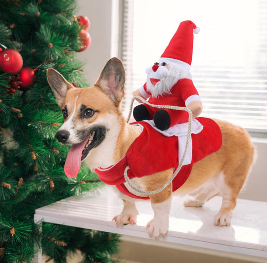 Hundetøj Juleoutfit Festligt Design til Hunde 4