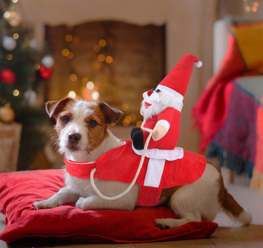 Hundetøj Juleoutfit Festligt Design til Hunde 5