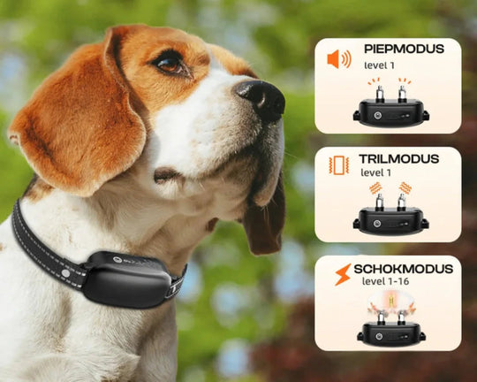 Hundetræningshalsbånd med Fjernbetjening og Vandtæt Design 3