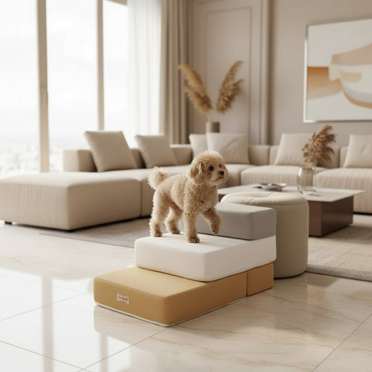 Hundetrin til Sofa og Seng 1
