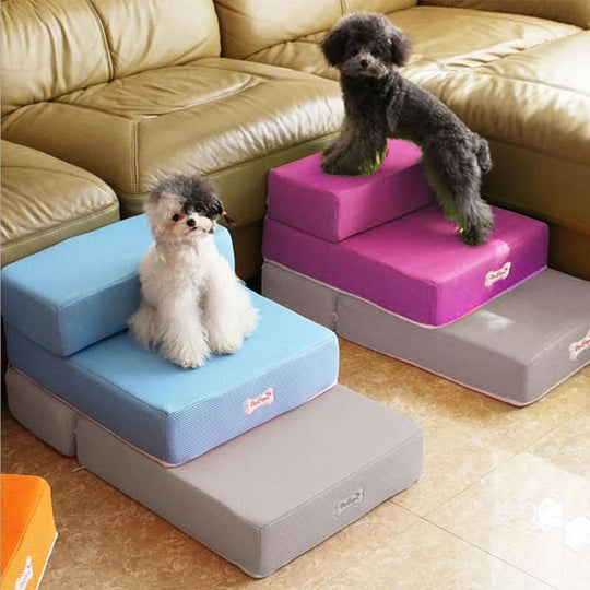 Hundetrin til Sofa og Seng 4