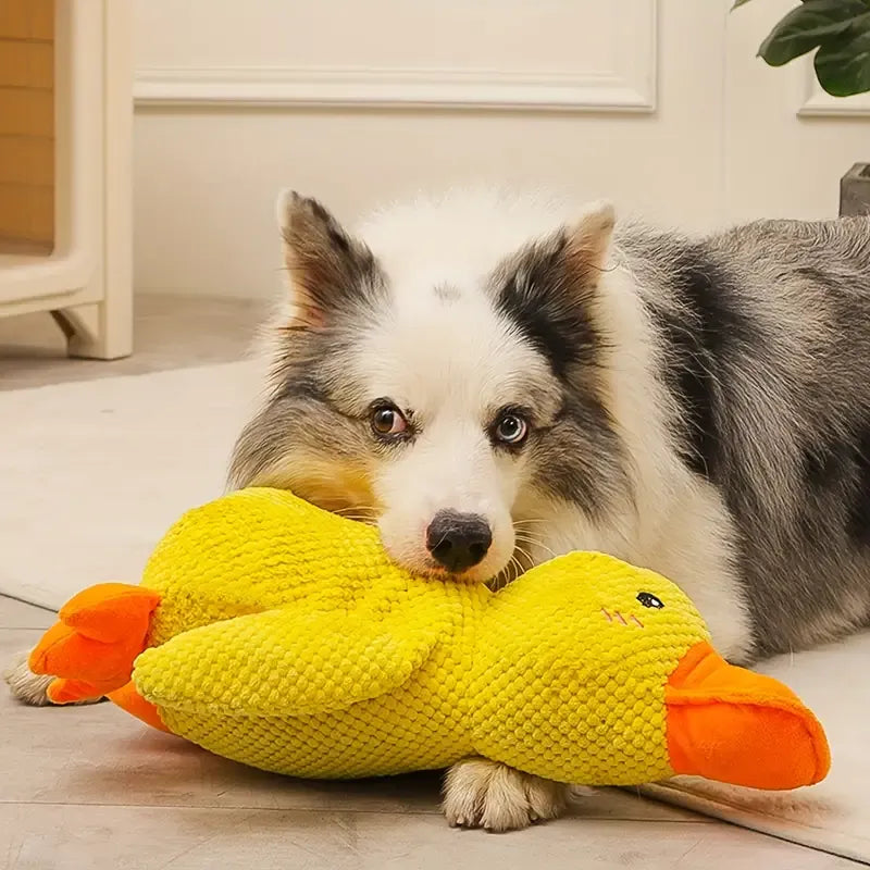 Interaktivt Hundelegetøj FlappyDuck med Lyde 1