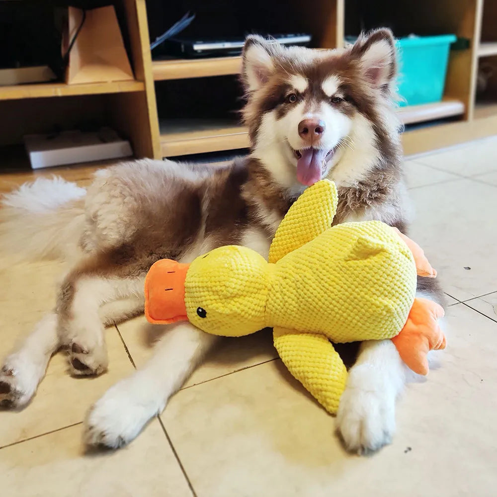 Interaktivt Hundelegetøj FlappyDuck med Lyde 2
