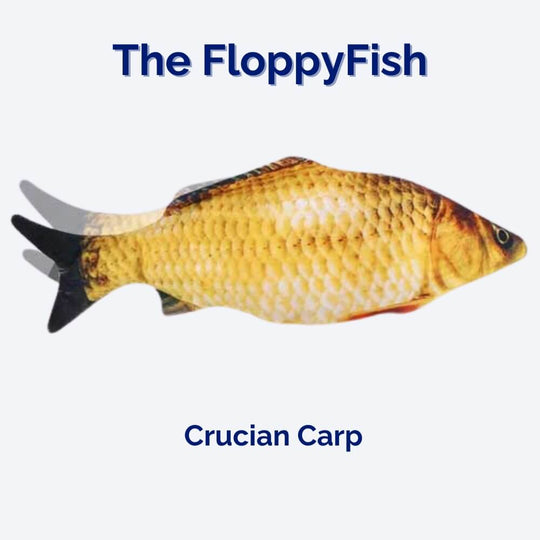 Interaktivt Hundelegetøj FloppyFish med Realistisk Bevægelse 3