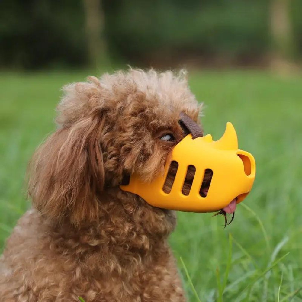 Justerbart hundemundstykke til alle racer 1