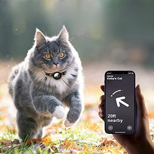 Katte GPS Tracker Halsbånd med Reflekterende Design 2