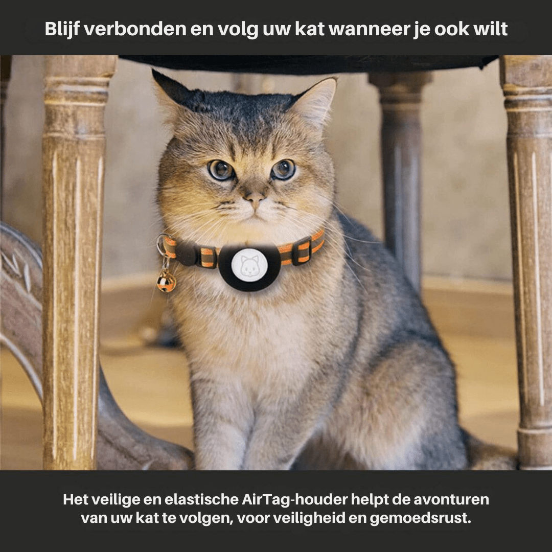 Katte GPS Tracker Halsbånd med Reflekterende Design 3
