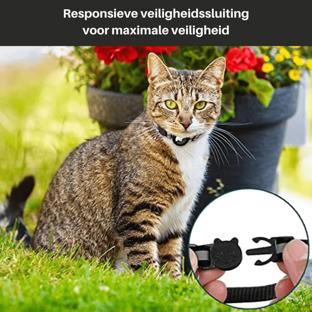 Katte GPS Tracker Halsbånd med Reflekterende Design 5