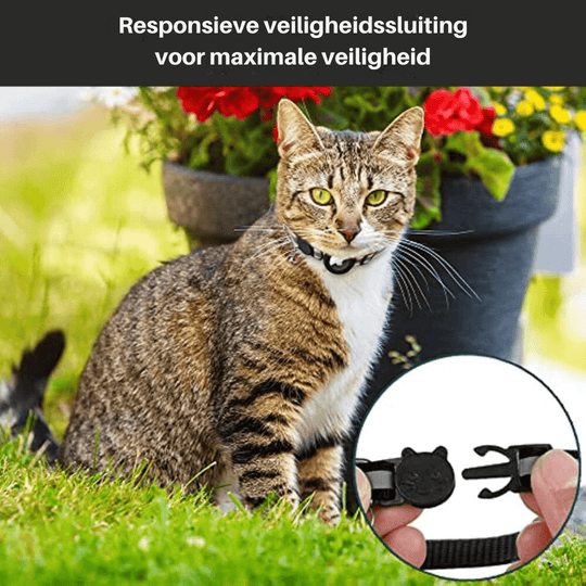 Katte GPS Tracker Halsbånd med Reflekterende Design 5