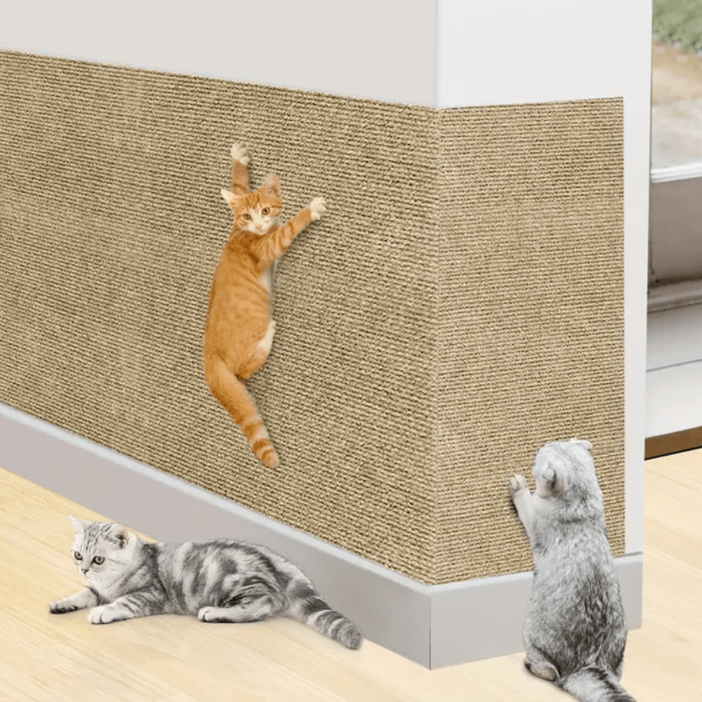 Katte Kradse Pude Holdbar Design til Møbler 0
