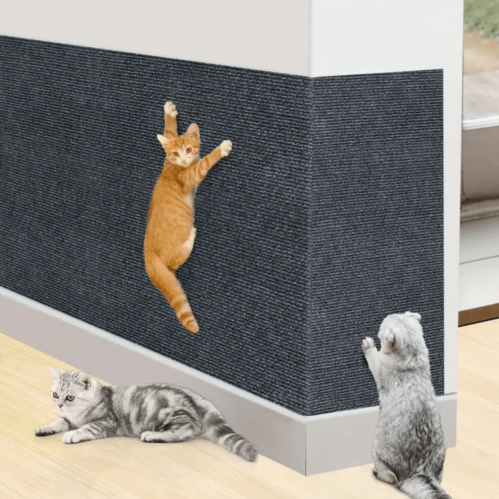 Katte Kradse Pude Holdbar Design til Møbler 10