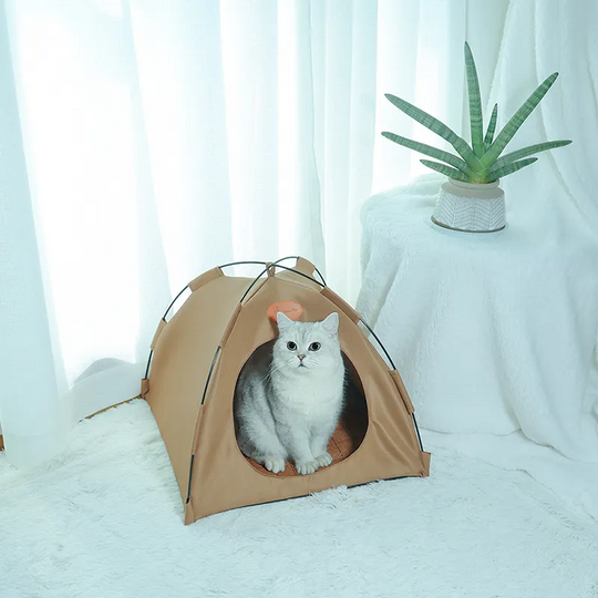 Katte Telt Luftigt Design 1