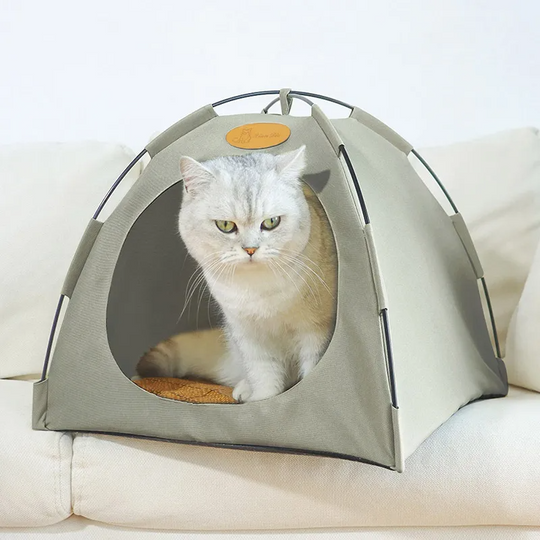 Katte Telt Luftigt Design 2