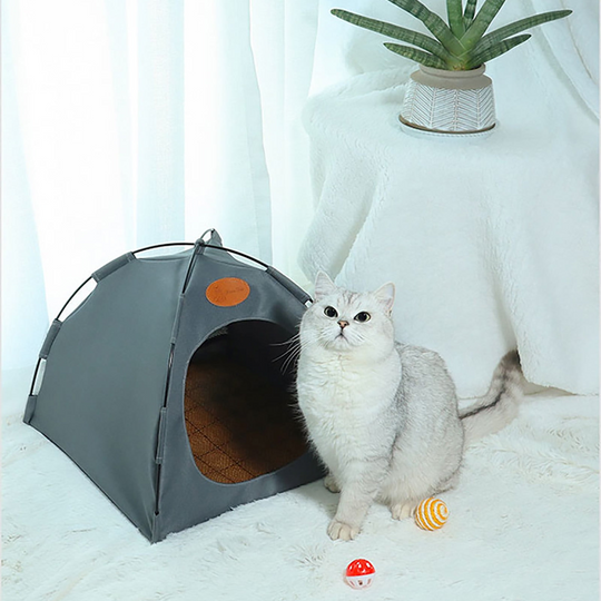 Katte Telt Luftigt Design 6