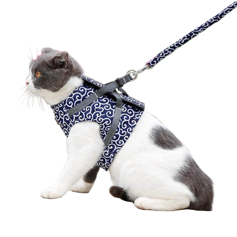 Katte Vest Selesæt til Udendørs Eventyr 0