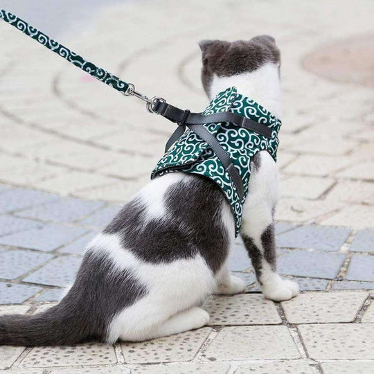 Katte Vest Selesæt til Udendørs Eventyr 3