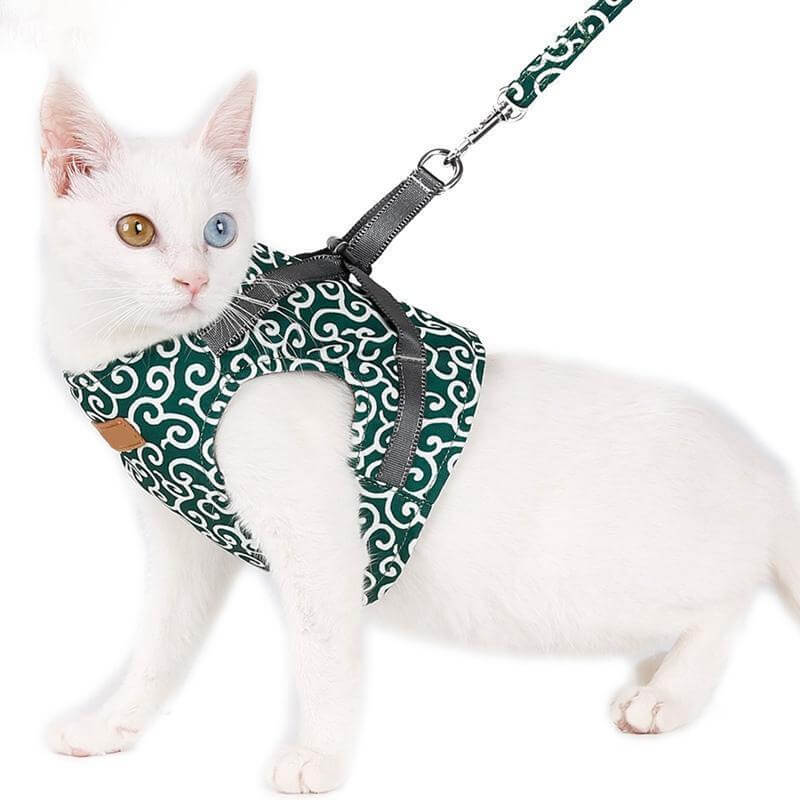 Katte Vest Selesæt til Udendørs Eventyr 4